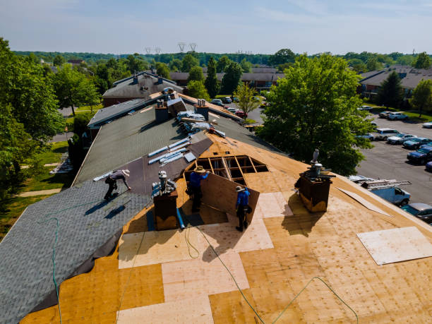 24/7 Emergency Roof Repair experts in Livonia, MI